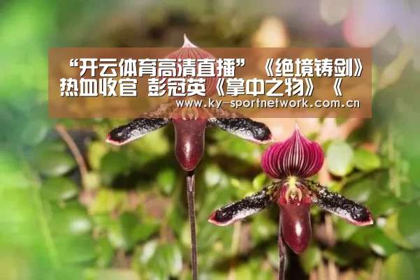 开云体育官方入口