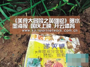 开云体育高清直播