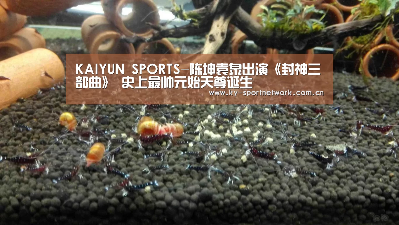 KAIYUN SPORTS-陈坤袁泉出演《封神三部曲》 史上最帅元始天尊诞生(图2) 开云体育官方入口