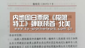 内地周日票房《极限特工》蝉联榜首 北美方面《乐高蝙蝠侠》夺冠《五十度黑》大缩水_开云官网首页(图3) KAIYUN SPORTS